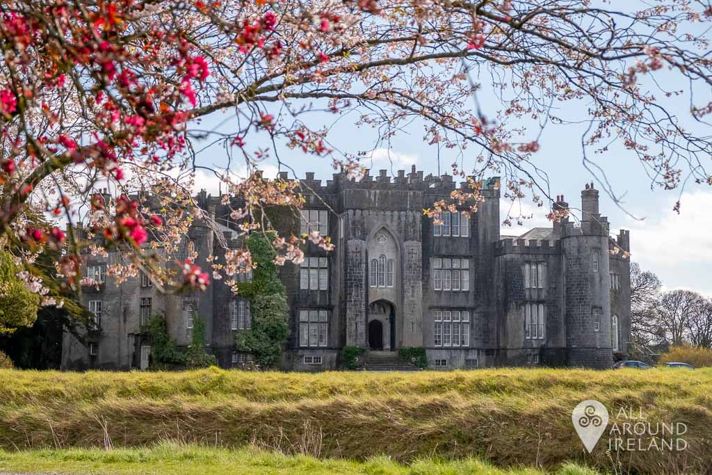 Birr Castle_17 • All Around Ireland