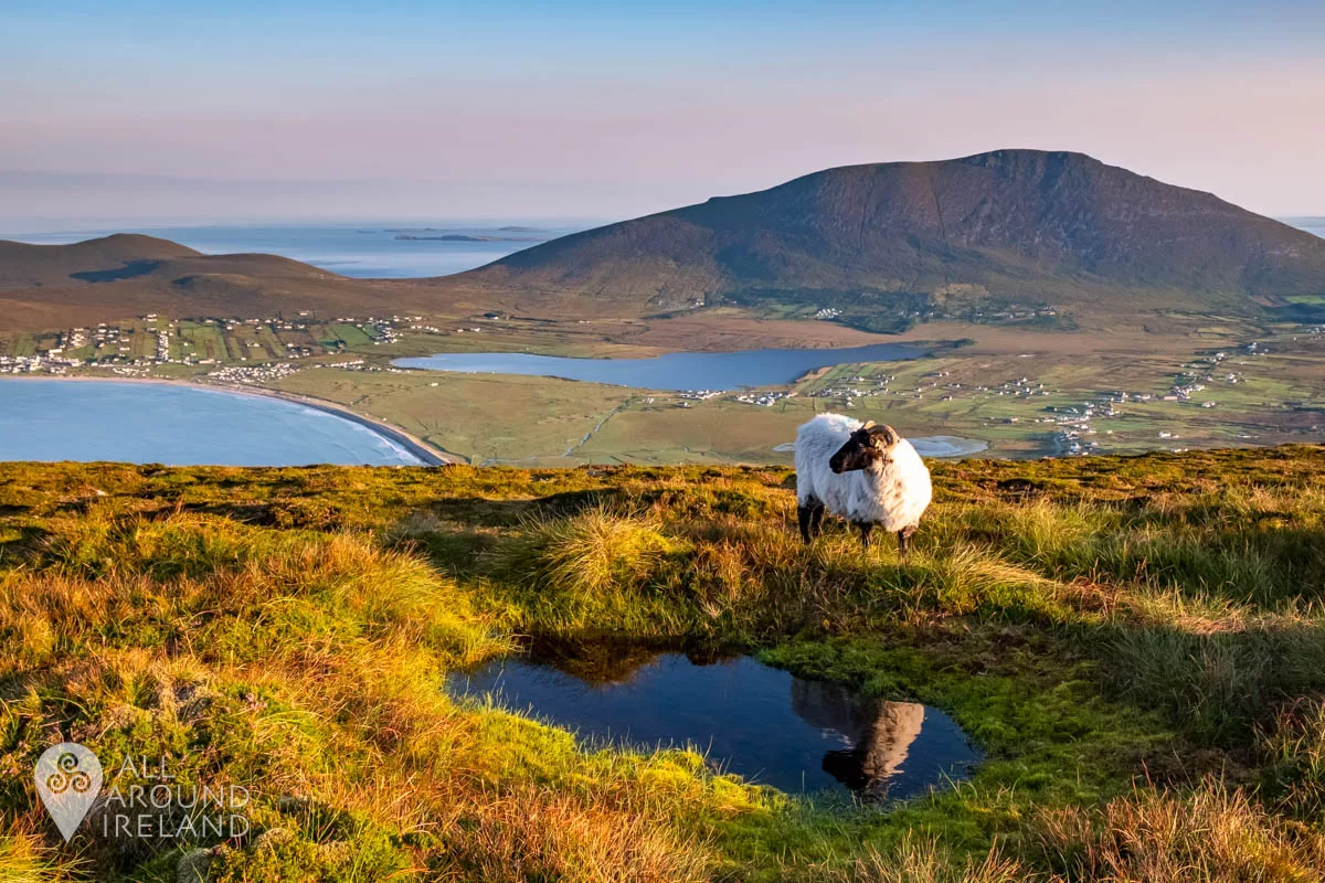 Achill-Island_15-jpg.webp