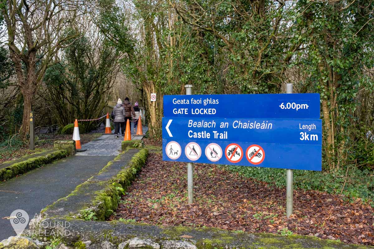 Dromore Wood_03 • All Around Ireland